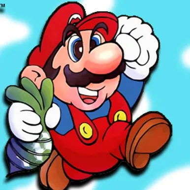 Play Super Mario Bros. 2 free online